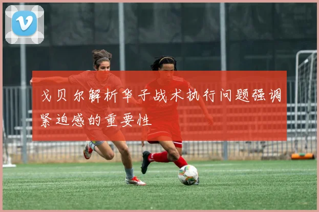戈贝尔解析华子战术执行问题强调紧迫感的重要性